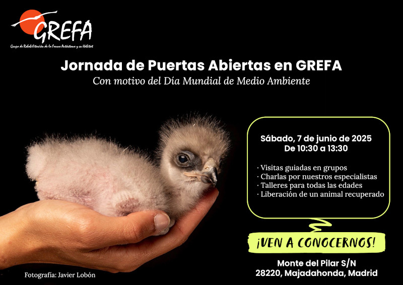 Cartel anunciador de una nueva edición de la Jornada de Puertas Abiertas en GREFA.